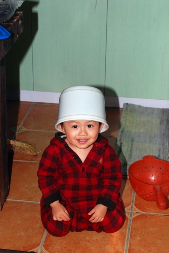 noah-015
