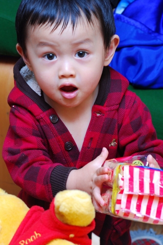 noah-032